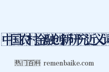 中国农村金融创新研究近义词是什么意思的图片